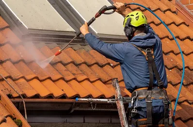 Démoussage et hydrofuge de toiture à Hinsingen